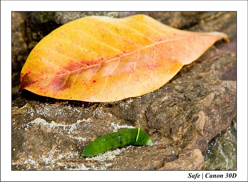 2006 - 07 - Gemia - Tournage serie tv 15